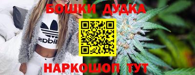 стафф Нальчик