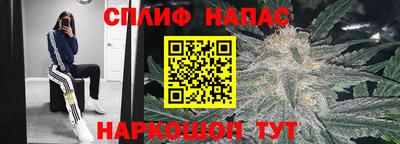 ГАЛЛЮЦИНОГЕННЫЕ ГРИБЫ Нарткала